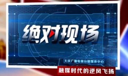 大庆新闻今晚60分爆料,揭秘背后故事，深度剖析热点事件