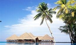 海南海边爆料案件最新,真相即将揭晓！